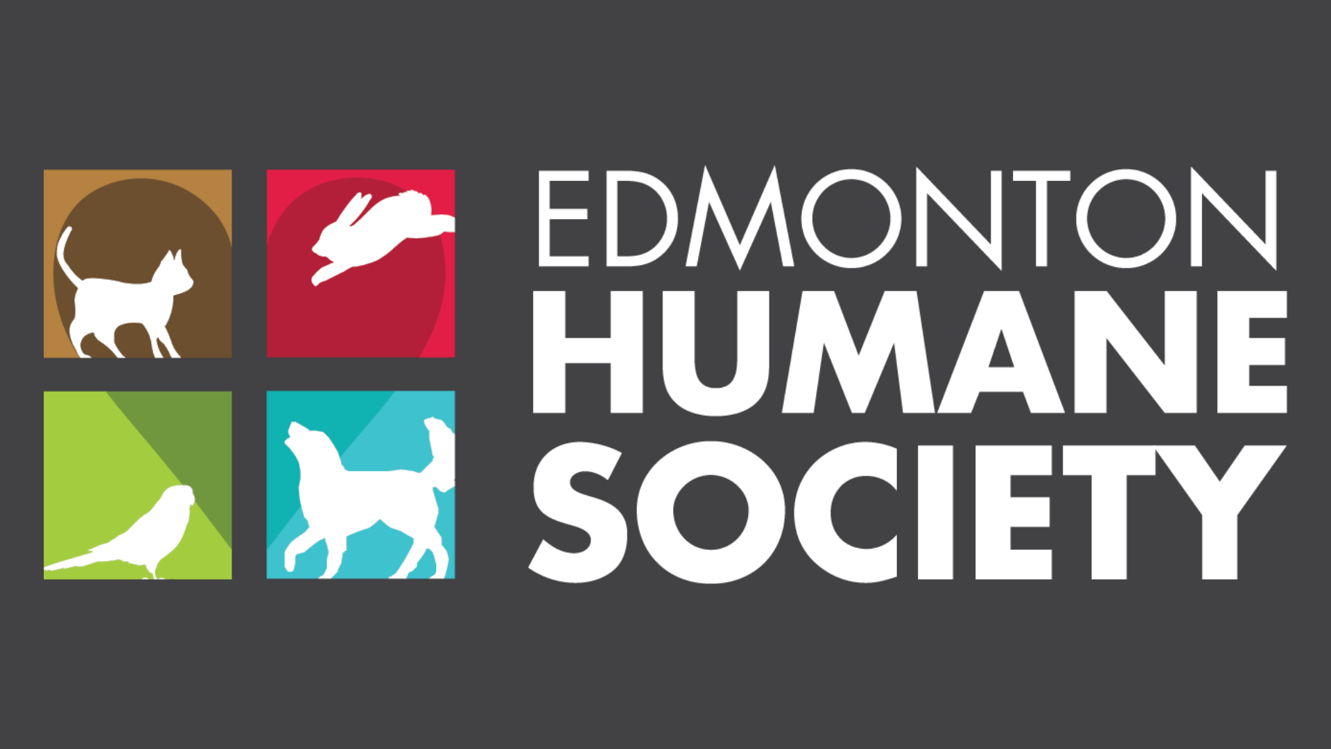 Statement from EHS on City of Edmonton Decision to take over enforcement of Animal  Protection Act - Edmonton Humane Society