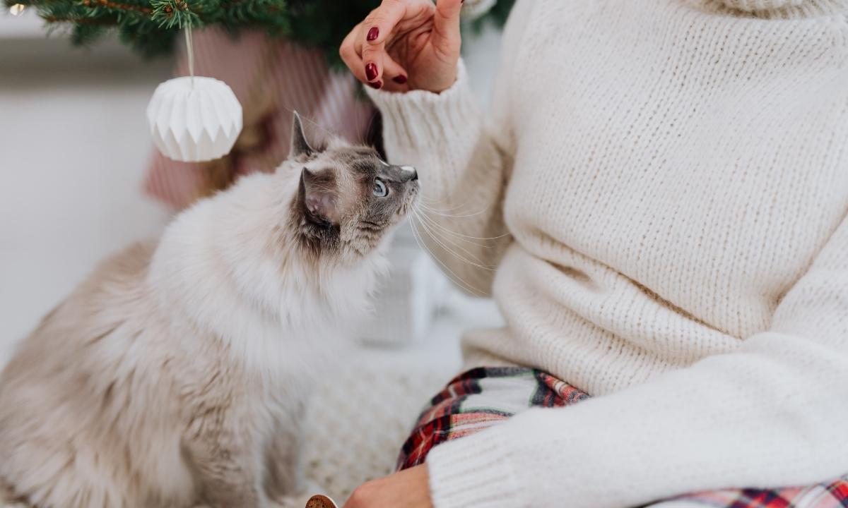 A woman and her cat at Christmas