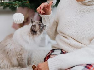 A woman and her cat at Christmas