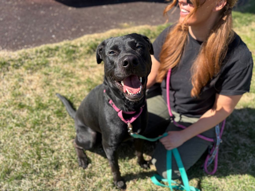 Adoptable Animals - Edmonton Humane Society