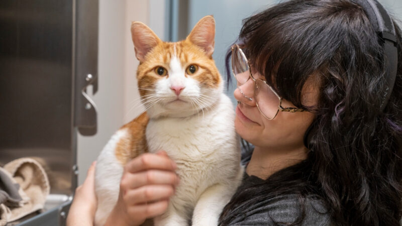 EHS team member holding a cat.